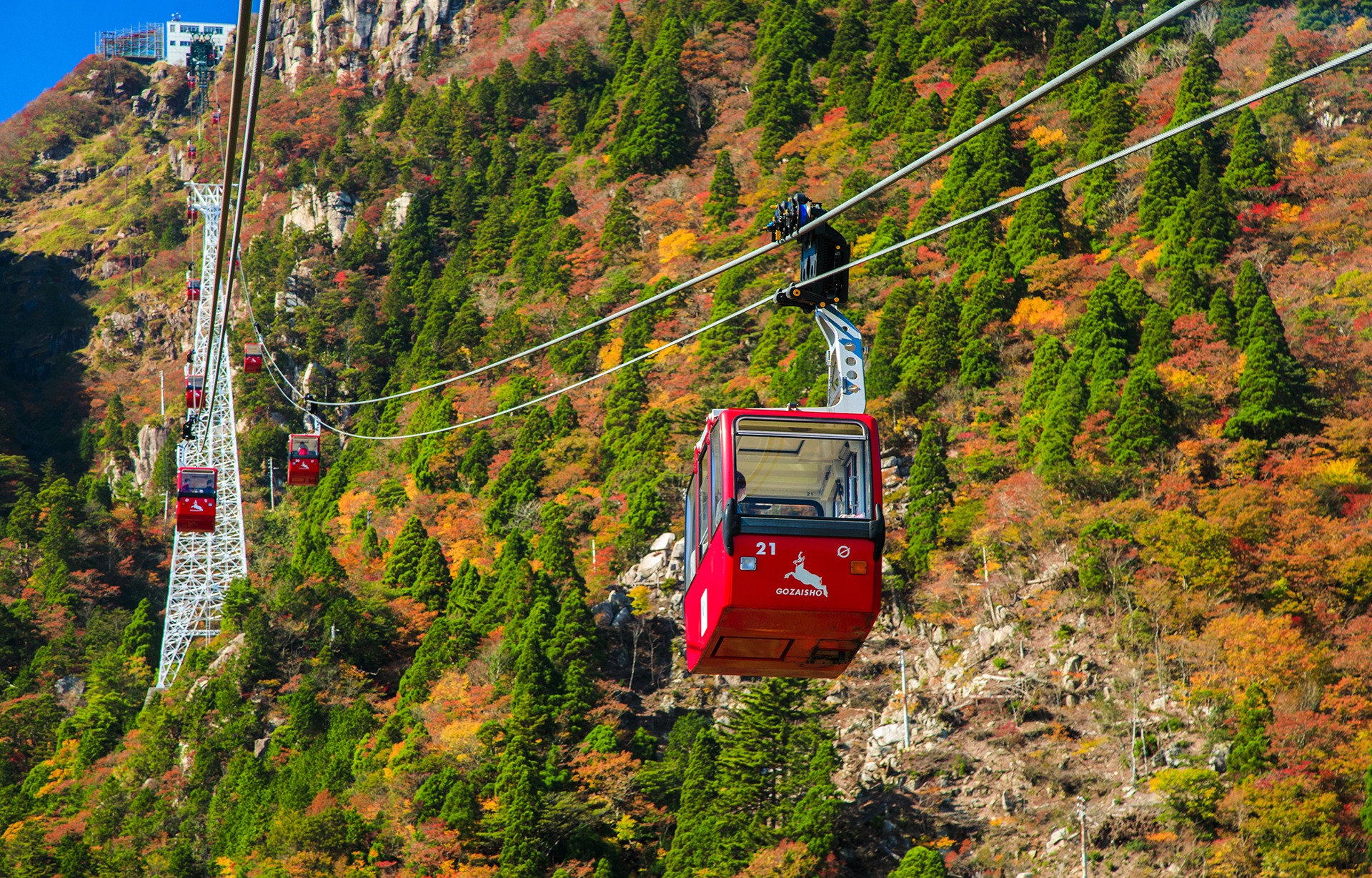 中村行彦事務所